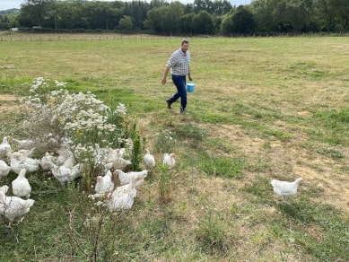 Éleveur Le Gaulois marchant avec un sceau, nourrissant les volailles à l'extérieur, dans son champ