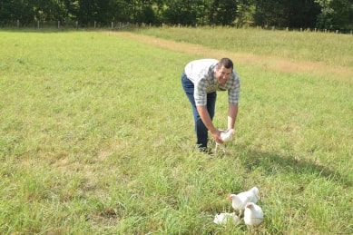 Éleveur Le Gaulois souriant reposant une volaille sur l'herbe de son exploitation et entouré de trois autres poulets