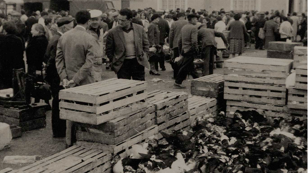 Stands du marché sarthois de volaille cloturés par des caisses en bois